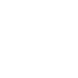 Salt Services